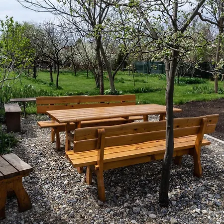 Urban House - Apartman Ada